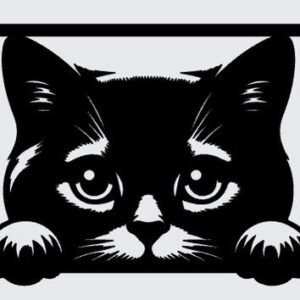 Nowoczesny Obraz 3D „Ciekawski Puszysty Kotek”
